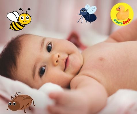 Cum protejam bebelusul de ciupiturile de insecte: care substante sunt recomandate si care nu si ce efecte pot avea - sfatul medicului