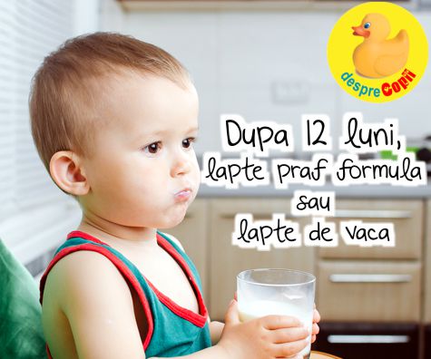 Dupa 12 luni dam copilului lapte praf formula sau lapte de vaca? Iata sfatul medicilor.