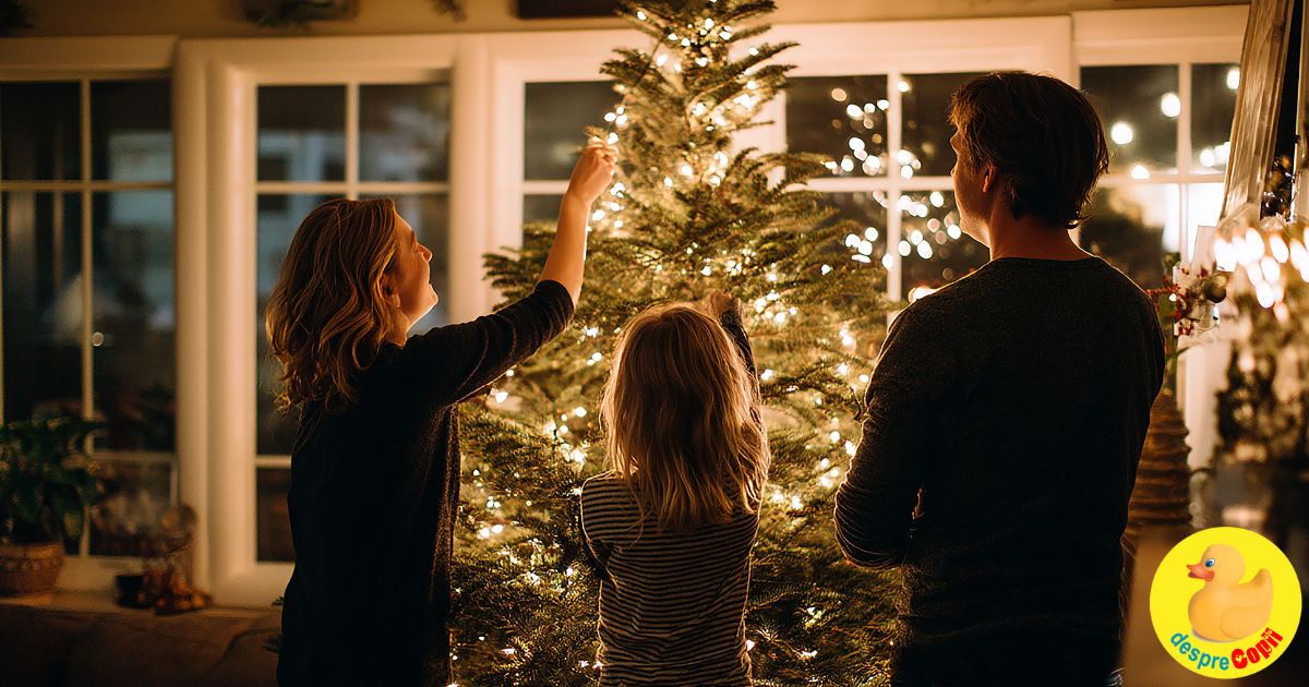 Brad natural sau brad artificial pentru Craciun? Ce cumparam?