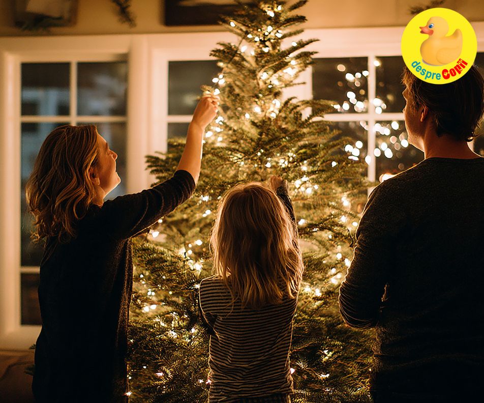 Brad natural sau brad artificial pentru Craciun? Ce cumparam?