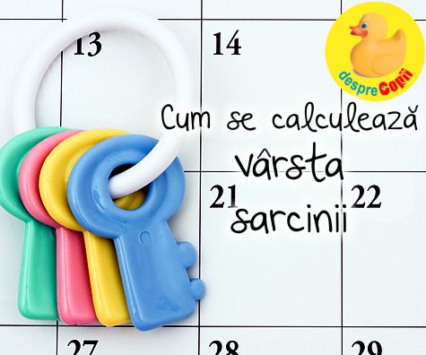 Cum se calculeaza varsta sarcinii: metoda si CALCULATOR