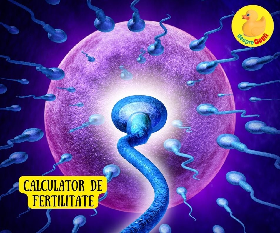 Calculator de FERTILITATE: calculează zilele când poți rămane insărcinată