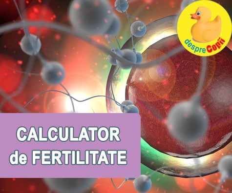 Calculator de fertilitate: calculeaza zilele cand poti ramane insarcinata