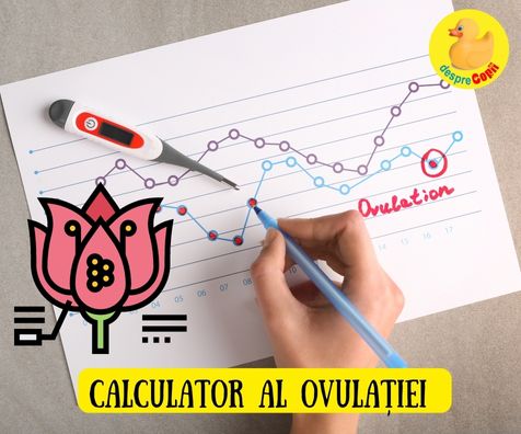 CALCULATOR OVULATIE -  te ajuta sa afli zilele cand poti ramane insarcinata