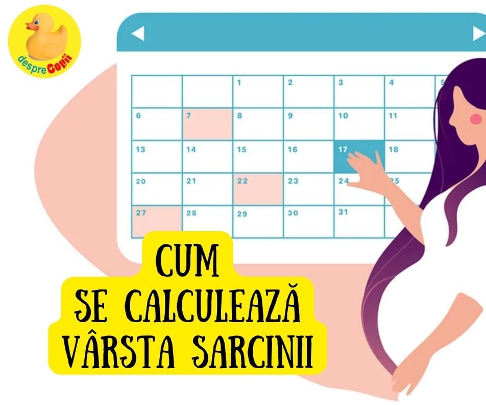 Cum se calculeaza varsta sarcinii: metoda si CALCULATOR