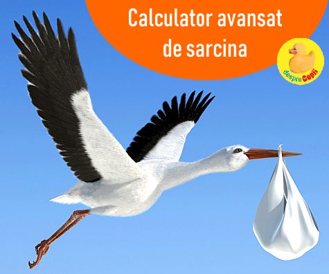 Calculator de sarcina avansat si data probabila a nasterii