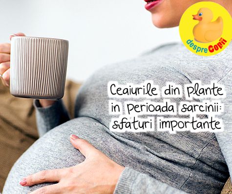 Ceaiurile din plante in perioada sarcinii: sfaturi importante