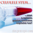 Recoltarea de celule stem – o provocare cu multe necunoscute