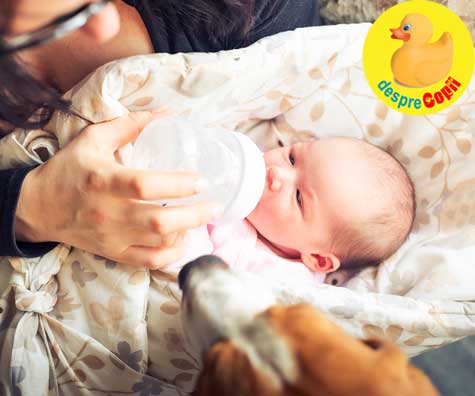 Greselile mamicilor dupa cezariana: Renuntarea la alaptarea bebelusului