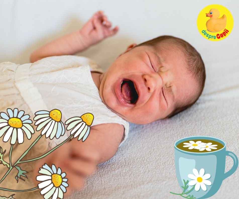 Ceaiul de musetel si colicii bebelusului - parerea specialistilor