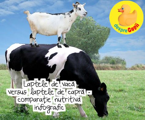 Laptele de vaca versus laptele de capra - comparatie nutritiva infografic