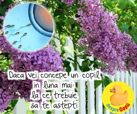 Daca vei concepe un copil in luna mai: la ce trebuie sa te astepti