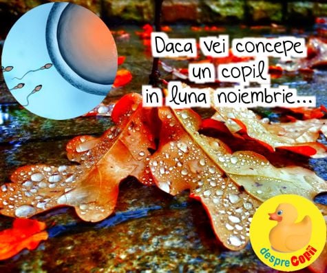 Daca vei concepe un bebe in luna noiembrie -  la ce trebuie sa te astepti