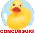 Concursuri la Desprecopii.com