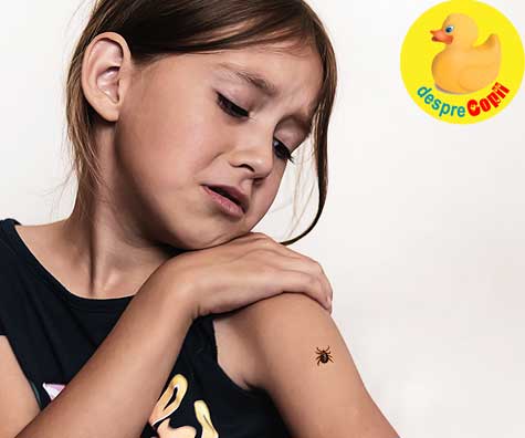 Cum ferim copiii de capuse: atentie aceste insecte pot provoca boli grave