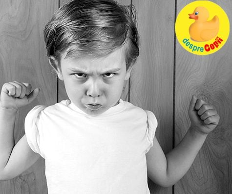 Copilul agresiv: cauze, prevenire si reactii - sfatul psihologului
