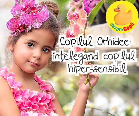Copilul Orhidee - intelegand copilul hiper-sensibil