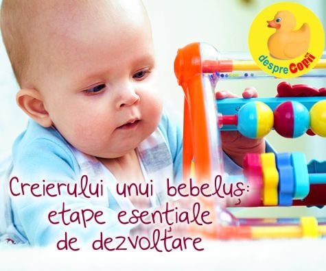 Etape esențiale de dezvoltare a creierului unui bebeluș