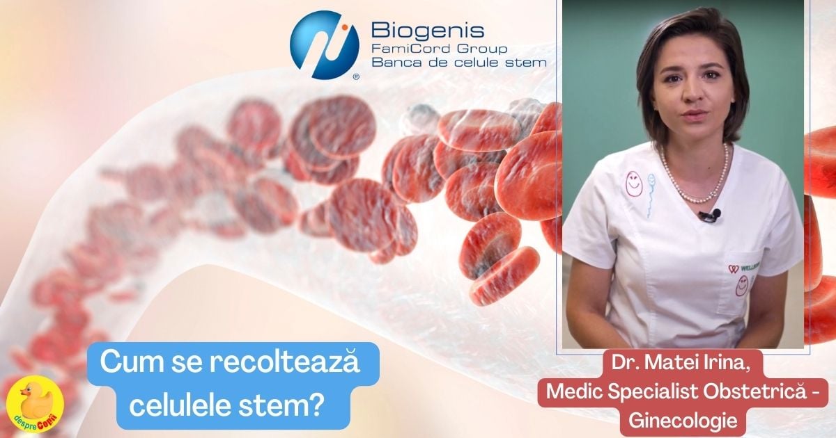 Cum se recolteaza celulele stem? Ne explica medicul ginecolog