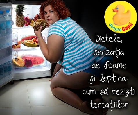 Dietele, senzatia de foame si leptina -  cum sa rezisti tentatiilor