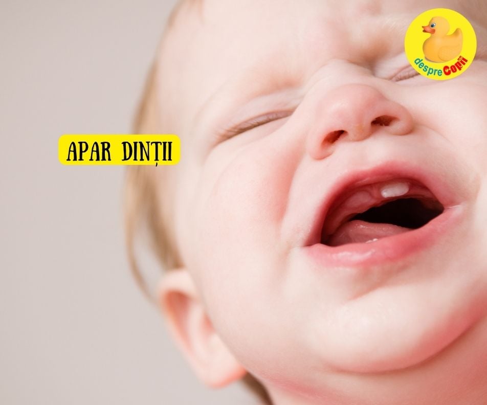 Dinții de lapte ai bebelușului: când apar, simptome și ce e de făcut 🦷 - infografic