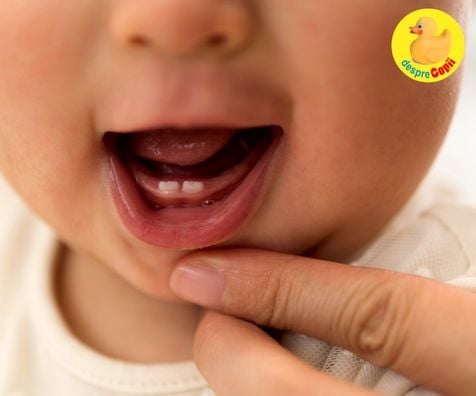 7 sfaturi pentru ingrijirea danturii bebelusului
