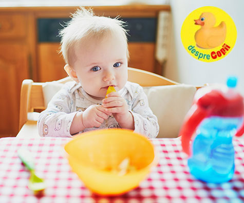 Mancarea preparata in casa ajuta la hranirea sanatoasa a bebelusului
