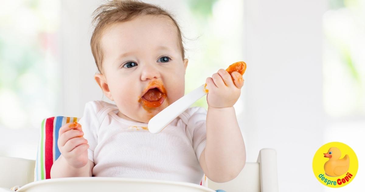 Diversificarea alimentatiei la bebelusi: Cum si cand? Sfaturi utile pentru parinti