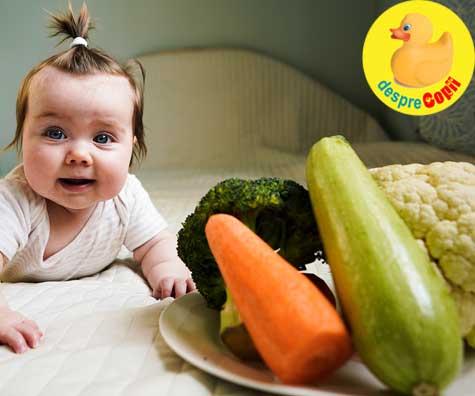 Dovlecelul in alimentatia bebelusului: siguranta, valoare nutritionala si beneficii