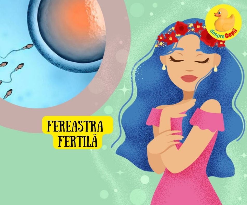 Ce este FEREASTRA FERTILĂ: Acea periodă magică când poți concepe un bebe - așa se calculează corect