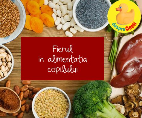 FIERUL in alimentatia zilnica a copilului tau si riscul anemiei