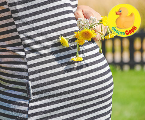 Adevarul despre folosirea remediilor din plante in timpul sarcinii si alaptarii