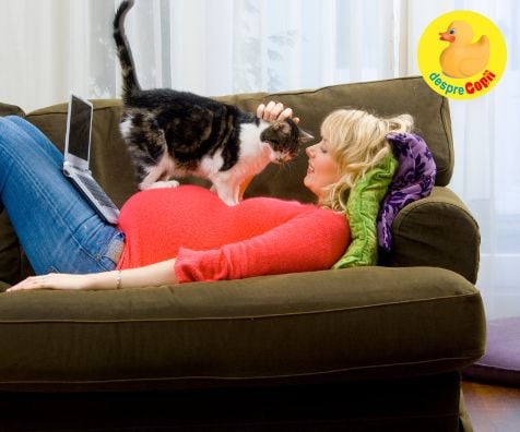 Despre gravidute si pisici - fa testul TORCH si vei fi linistita alaturi de pisica ta