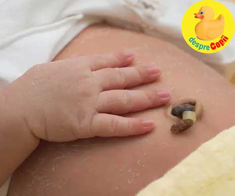 Distribute fairy Fate 6 semne ca bontul ombilical al nou-nascutului este INFECTAT |  Desprecopii.com