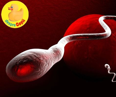 Infertilitatea masculina: cauzele cele mai frecvente