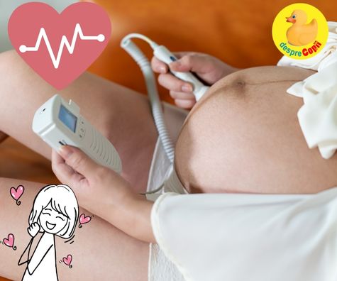La 8 saptamani: primele lacrimi la auzul batailor inimii fetitei mele - jurnal de sarcina