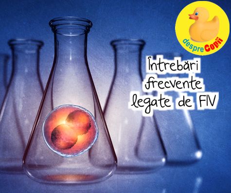 Intrebari frecvente legate de FIV