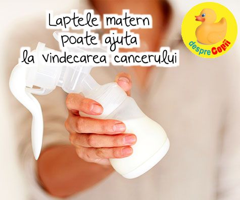 Laptele matern poate ajuta la vindecarea cancerului