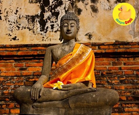6 lectii pe care ni le ofera budismul