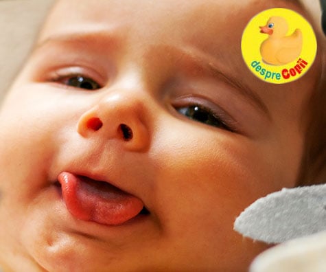 Limba legata la bebelusi: 10 intrebari si raspunsuri