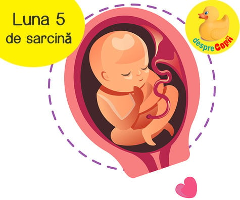 Luna 5 de sarcina: bebelusul are acum amprente iar foamea da tarcoale mamicii