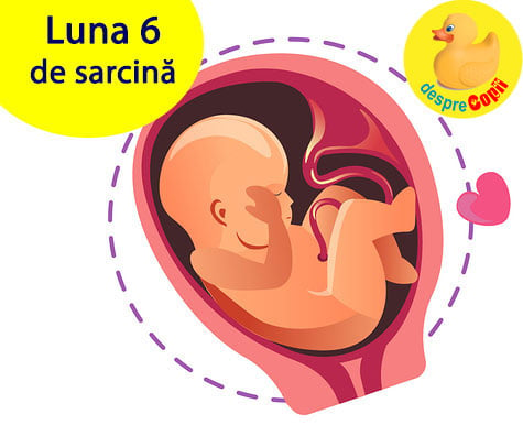 Luna 6 de sarcina: bebelusul e activ iar mami are nevoie de rasfat