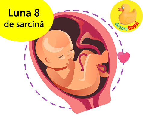 Luna 8 de sarcină: bebelușul are tot mai puțin loc de joacă iar pentru mami legarea șireturilor devine imposibilă