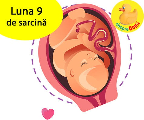 Luna 9 de sarcină: bebelușul și balena se pregătesc de marea intalnire