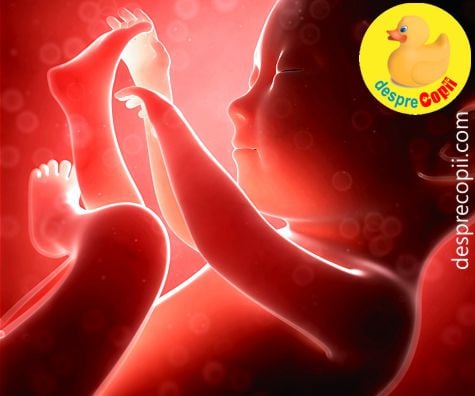 Cauzele malformatiilor fetale si momente critice in sarcina - sfatul medicilor