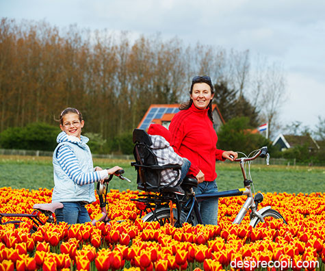 Mamele olandeze sunt cele mai relaxate mame din lume