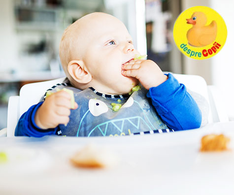 Invata-ti bebelusul sa cunoasca si sa aprecieze alimentele: metoda Rapley (auto-diversificarea bebelusului)