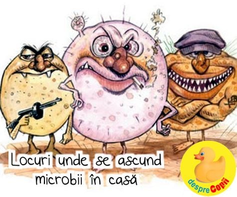 Locuri unde se ascund bacterii si virusuri in casa