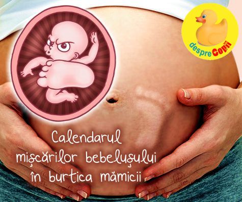 Calendarul miscarilor bebelusului in burtica mamicii