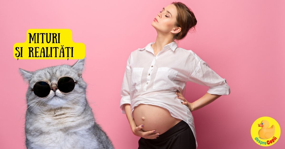 16 Mituri si realitati despre sarcina iar unele din ele chiar nu au nici un sens - adevarul despre sarcina width=